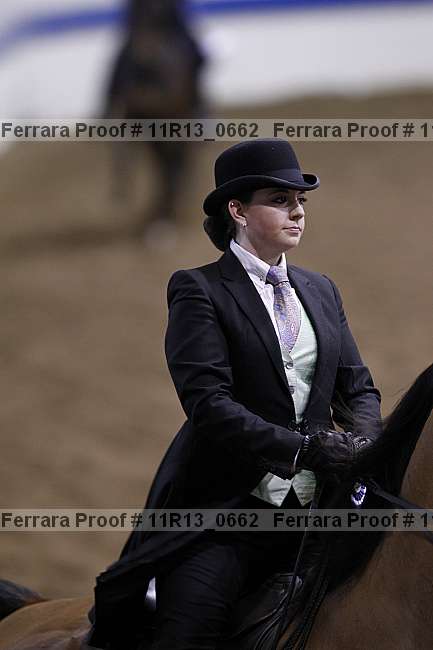 Proof 11r13_0662
