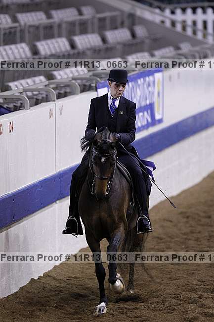 Proof 11r13_0663