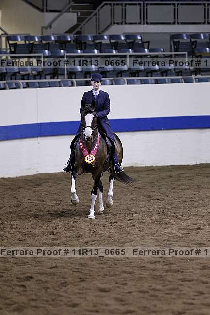 Proof 11r13_0665
