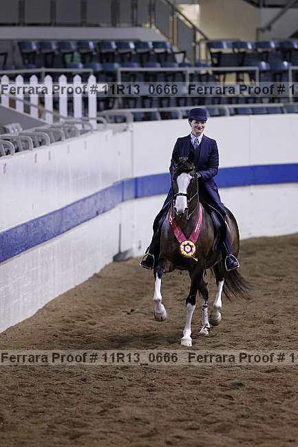 Proof 11r13_0666