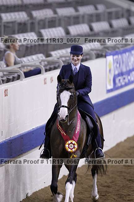 Proof 11r13_0667