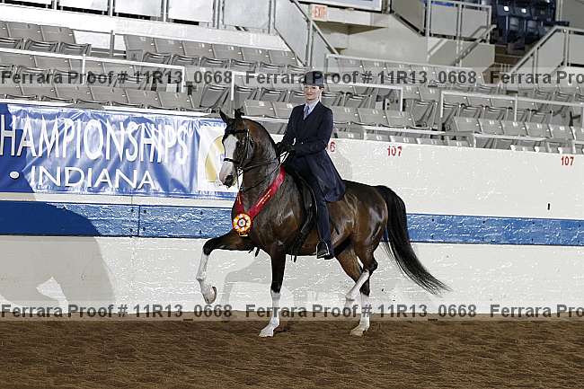 Proof 11r13_0668