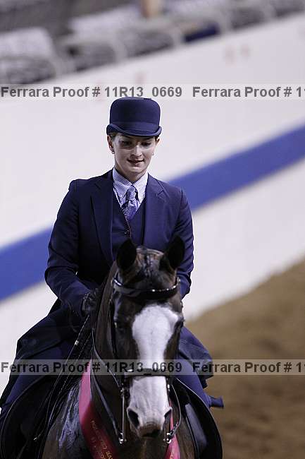 Proof 11r13_0669