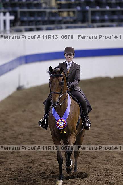 Proof 11r13_0670