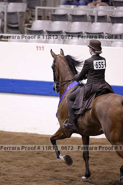 Proof 11r13_0672