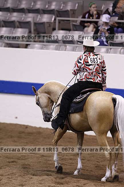 Proof 11r13_0678