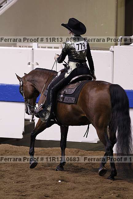 Proof 11r13_0683