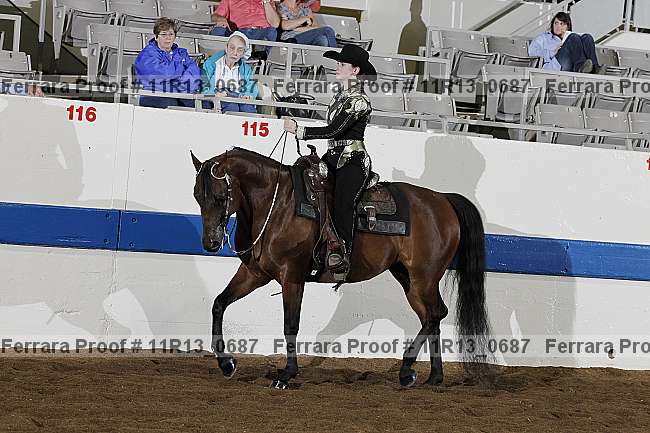 Proof 11r13_0687