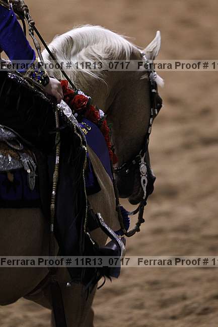 Proof 11r13_0717