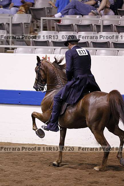 Proof 11r13_0720