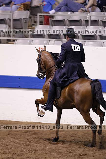 Proof 11r13_0723