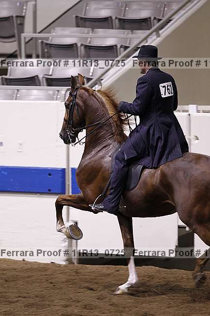 Proof 11r13_0725