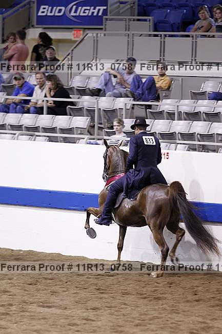 Proof 11r13_0758
