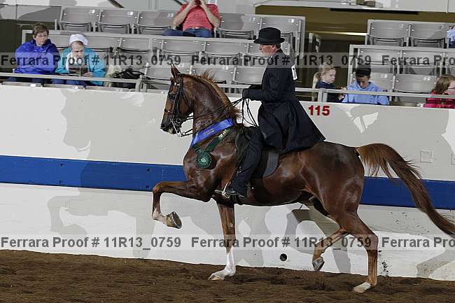 Proof 11r13_0759