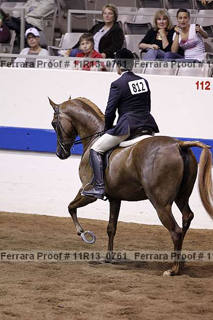Proof 11r13_0761