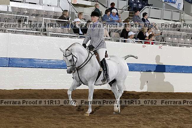 Proof 11r13_0762