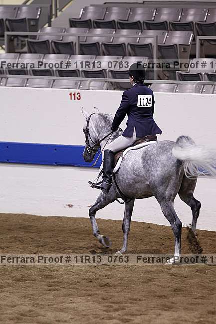 Proof 11r13_0763