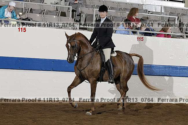 Proof 11r13_0764
