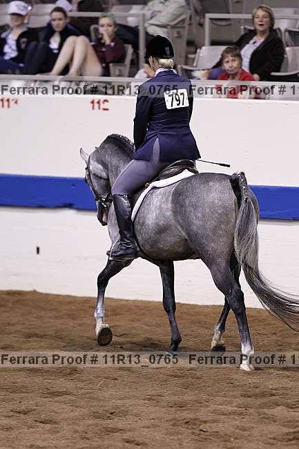 Proof 11r13_0765