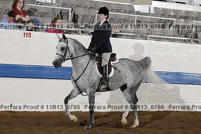 Proof 11r13_0766