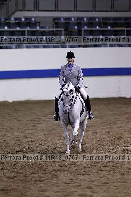 Proof 11r13_0767