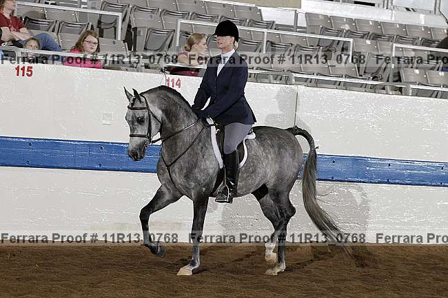 Proof 11r13_0768