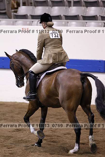 Proof 11r13_0769