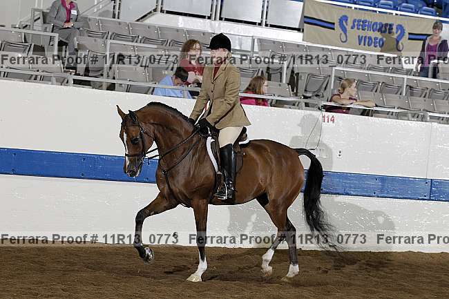 Proof 11r13_0773