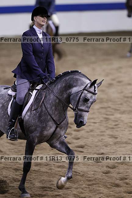 Proof 11r13_0775