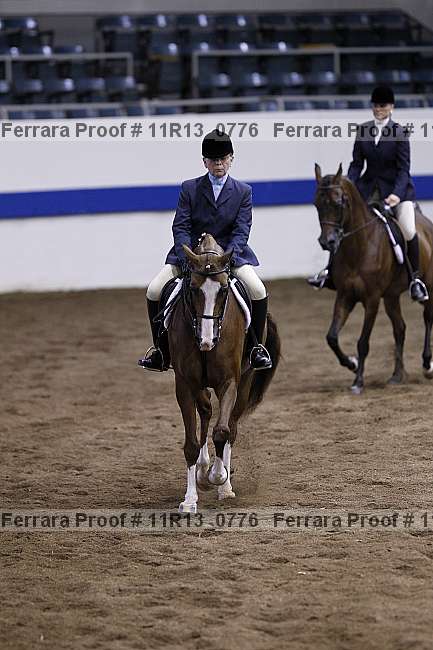 Proof 11r13_0776