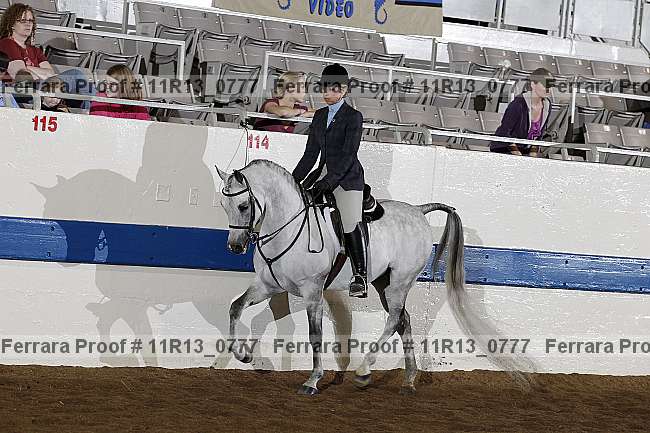 Proof 11r13_0777