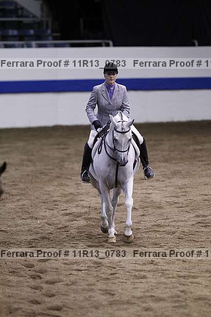 Proof 11r13_0783