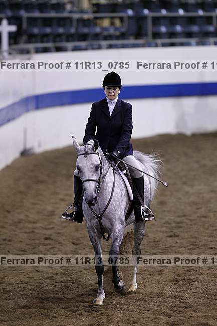 Proof 11r13_0785