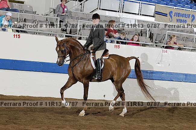 Proof 11r13_0787