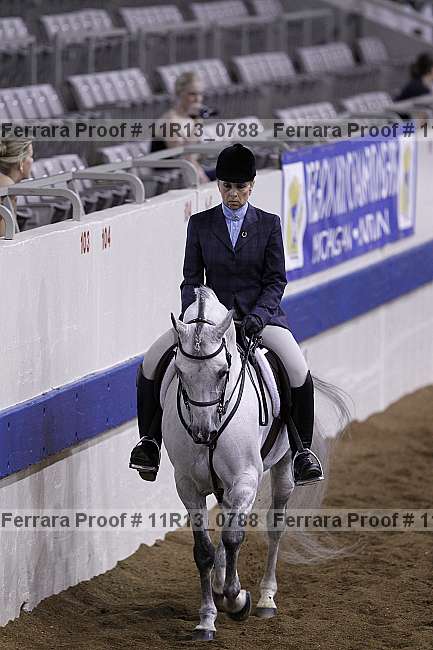 Proof 11r13_0788
