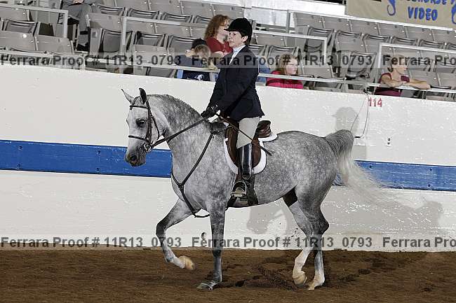 Proof 11r13_0793