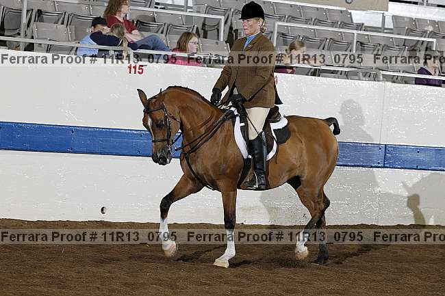 Proof 11r13_0795