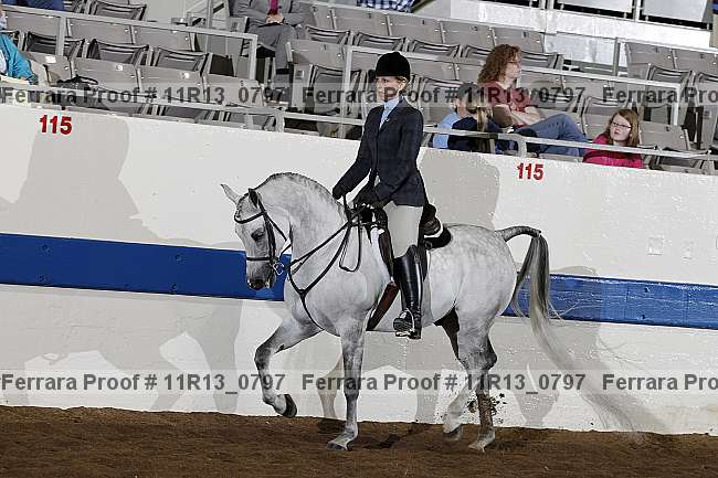 Proof 11r13_0797