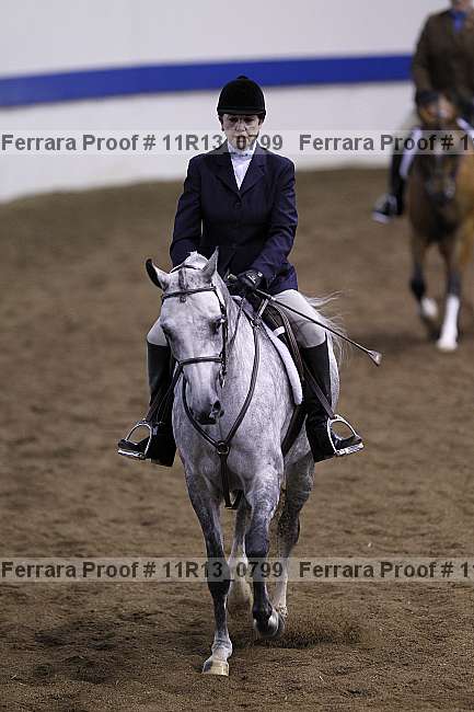 Proof 11r13_0799