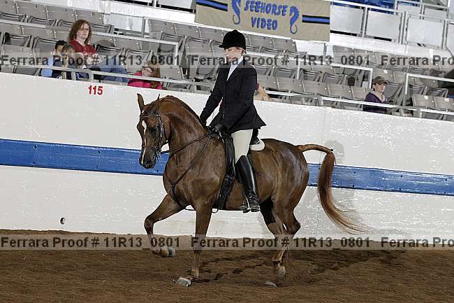 Proof 11r13_0801