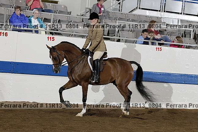 Proof 11r13_0804