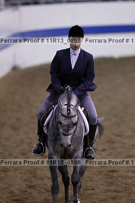 Proof 11r13_0806
