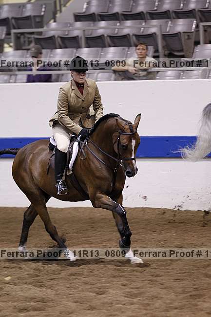 Proof 11r13_0809