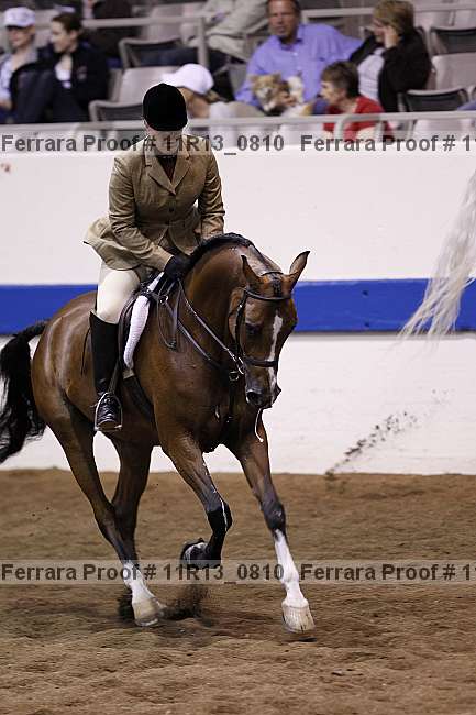 Proof 11r13_0810