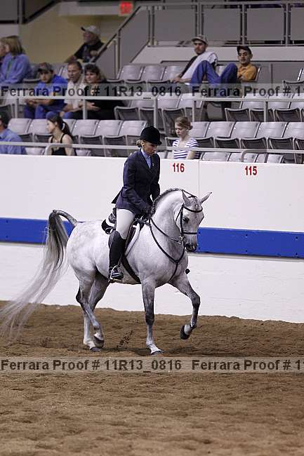 Proof 11r13_0816