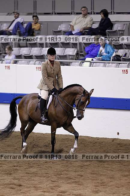 Proof 11r13_0818