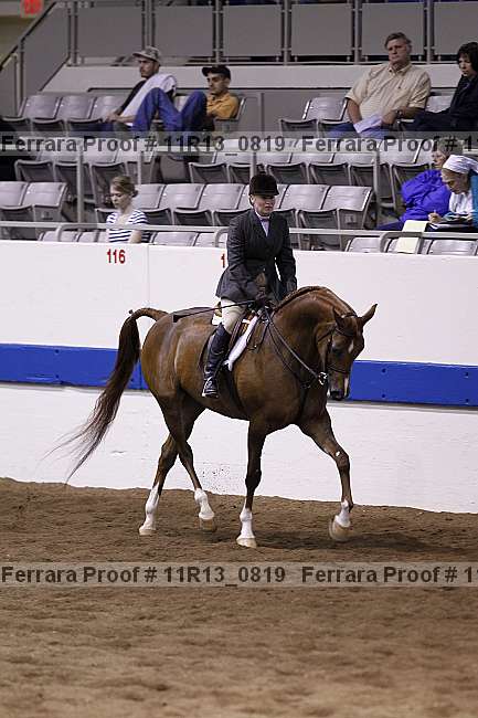 Proof 11r13_0819