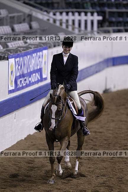 Proof 11r13_0828