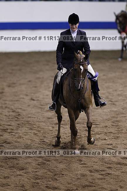 Proof 11r13_0834
