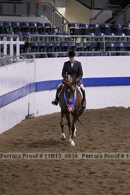 Proof 11r13_0838